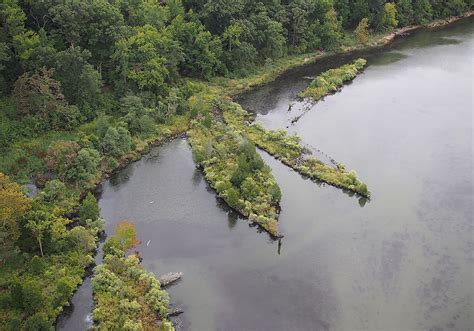 Designation of Mallows Bay-Potomac River National Marine Sanctuary