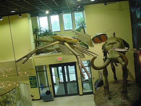 Burpee Museum of Natural History, Rockford Illinois - A Trip to the Museum - The Fossil Forum