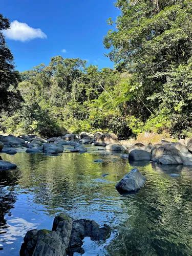 Best 10 Hiking Trails in El Yunque National Forest | AllTrails