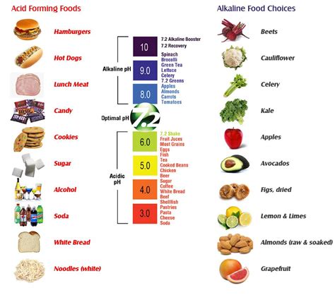 Pin on Acid Alkaline Balance-Równowaga kwasowo- zasadowa