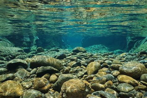 River Underwater Photography