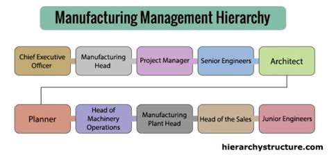 Manufacturing Management Hierarchy | Management, Hierarchy ...