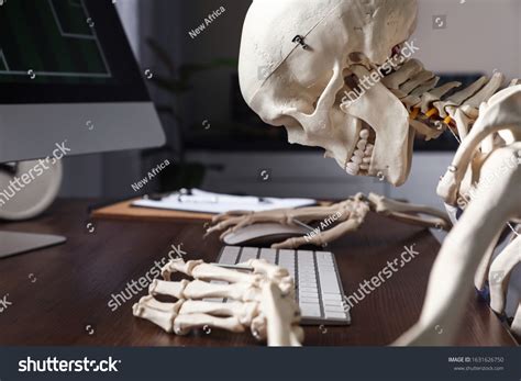 8,786 Skeleton Office Images, Stock Photos & Vectors | Shutterstock