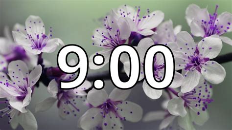 9 Minutes Timer with Music | Spring Timer - YouTube