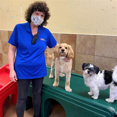 Working in Our PetsHotel | Careers at PetSmart Apply