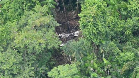 Rescuers Called Off Search In Amazon 8 Days After Plane Crash – His Brothers And Sisters Never ...