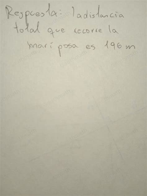 Solved: 2. Una mariposa vuela en linea recta hacia el sur co[algebra] - Gauthmath