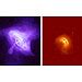 Chandra :: Photo Album :: Vela Pulsar :: More Images of Vela Pulsar