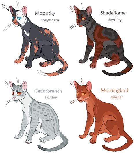 four different types of cats with names