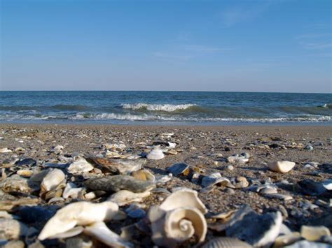 6. Edisto Beach State Park - Edisto Island, SC | South carolina beaches, Edisto island, South ...