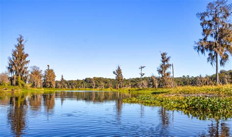 Along the Ocklawaha River | Florida Paddle Notes