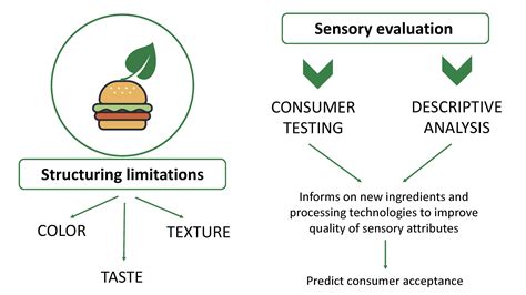 Foods | Free Full-Text | Role of Sensory Evaluation in Consumer Acceptance of Plant-Based Meat ...