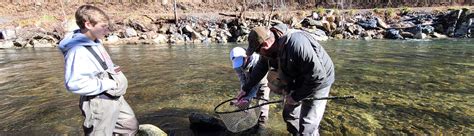 Nantahala River | Turning Stone's Fly Fishing