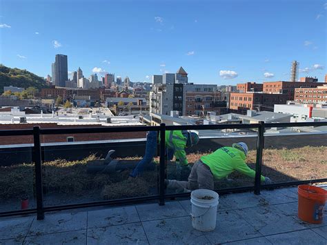 Green Roof Installation - Growing Seasons Landscapes