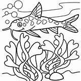 Catfish Coloring Page At GetColoringscom  Free Printable colorings sketch template
