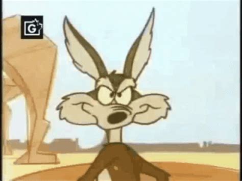 GIF de Wile E Coyote | Tenor