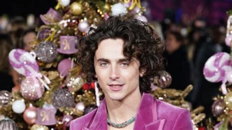 Timothee Chalamet calls Wonka a ‘joyful’ Christmas film | Anglo Celt