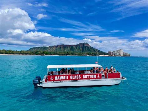 Oahu: Afternoon Glass Bottom Boat Tour in Waikiki | GetYourGuide