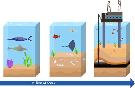 Oil and Gas Formation vector illustration, oil and gas formation step by step diagram, oil and ...