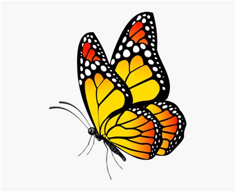 Butterfly Clipart Png - Butterfly Mania