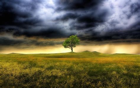 storm, Weather, Rain, Sky, Clouds, Nature, Landscape, Tree Wallpapers ...