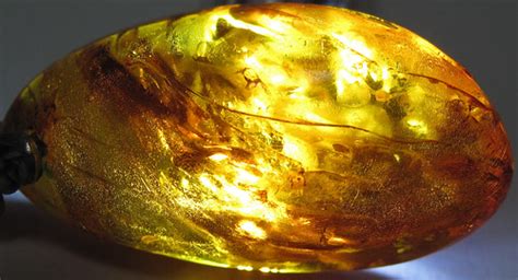 Amber jewelry 1 | Polished amber (~2.95 centimeters across a… | Flickr