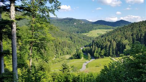 Hiking in the Black Forest, Germany : r/hiking