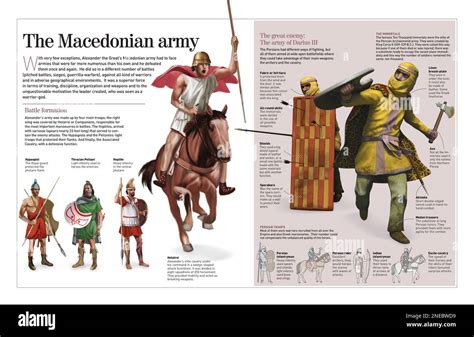 Infographic about the Macedonian army ruled by Alexander the Great and ...