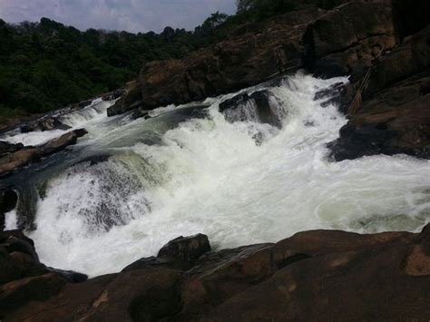 Perunthenaruvi Waterfall (Pathanamthitta) - 2019 What to Know Before You Go (with Photos ...