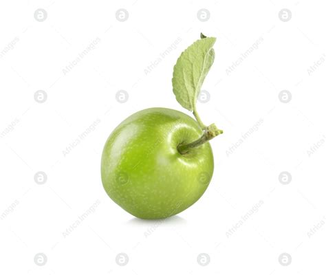 Fresh green apple with leaf isolated on white: Stock Photo | Download on Africa Images 14154