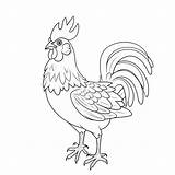 Rooster Coloring Pages – Corner sketch template