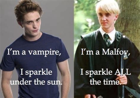 Harry Potter Meets Lolcatz | Harry potter vs twilight, Harry potter funny, Harry potter memes