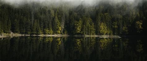 Reflection of the forest in the lake Wallpaper 3440x1440 UltraWide WQHD