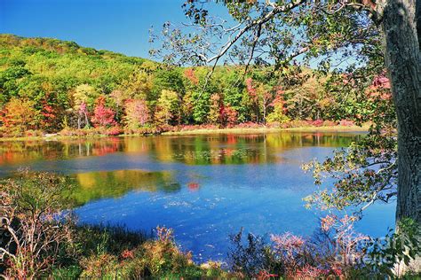 Bright Autumn Day in Harriman State Park Photograph by George Oze - Fine Art America