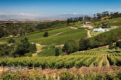 South Africa: The best wine tours worth the detour