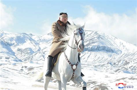 Kim Jong Un stages photo shoot on white horse