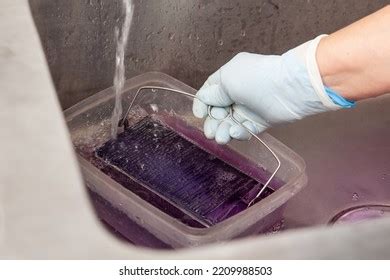 Scientist Staining Microscope Slides Cytology Studies Stock Photo 2209988503 | Shutterstock