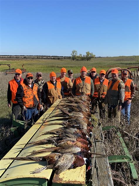 South Dakota Pheasant Hunts - Wild Birds - Large Acreage & Lodge