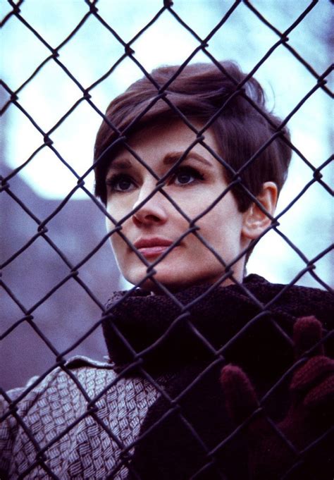 Wait Until Dark - Audrey Hepburn Photo (4320094) - Fanpop