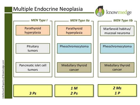 Internal Medicine Board Review: Multiple Endocrine Neoplasia