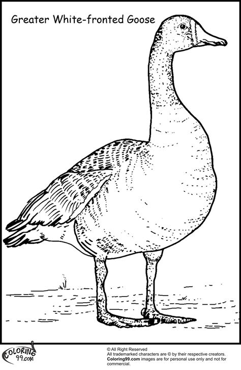 Goose Coloring Pages | Team colors