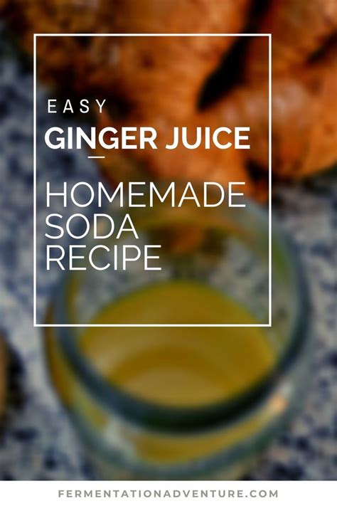 Ginger Ale Recipe Using Raw Ginger Juice | Ginger ale recipe, Ginger beer recipe, Ginger ale