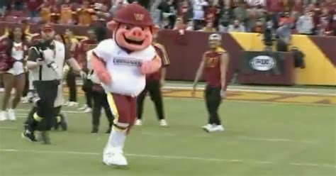 Washington Commanders Unveil Their New Mascot 'Major Tuddy', And It's ...