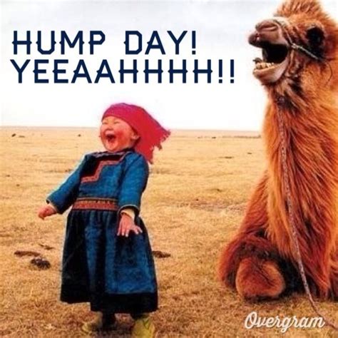 Hump Day Yeah Pictures, Photos, and Images for Facebook, Tumblr, Pinterest, and Twitter