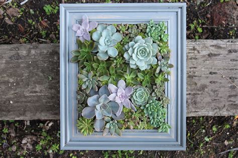 20 Photos Succulent Wall Art