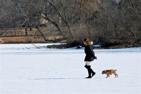 Sunny winter views around Lake of the Isles | MinnPost