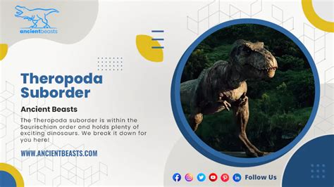 Theropoda Suborder | Theropod Dinosaurs | Ancient Beasts