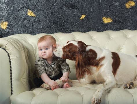 Big Dog Kisses Little Boy on Cheek Stock Photo - Image of happy, little ...