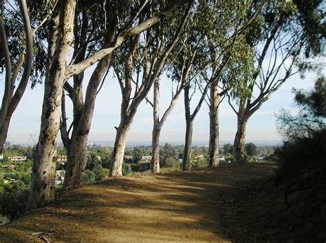 Will Rogers State Park | Petunia21 | Flickr