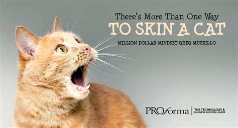 THERE'S MORE THAN ONE WAY TO SKIN A CAT - Proforma